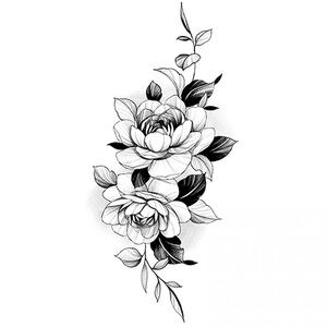 Meet your Posher, Hfx